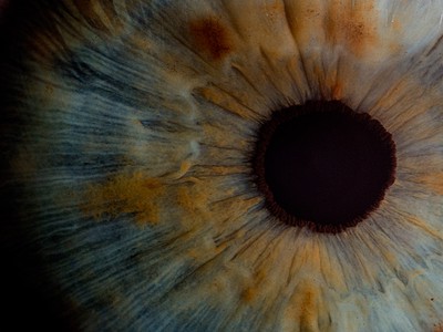 Reflecting on 2023 at CameraForensics 